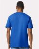 Picture of 64V00 - Unisex Softstyle® V-Neck T-Shirt