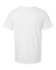 Picture of 64V00 - Unisex Softstyle® V-Neck T-Shirt