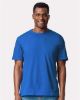 Picture of 65000 - Unisex Softstyle® Midweight T-Shirt