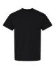 Picture of 8000 - Unisex DryBlend® T-Shirt
