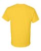 Picture of 8000 - Unisex DryBlend® T-Shirt