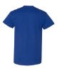 Picture of 8000 - Unisex DryBlend® T-Shirt