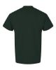 Picture of 8000 - Unisex DryBlend® T-Shirt