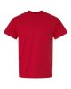 Picture of 8000 - Unisex DryBlend® T-Shirt