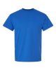 Picture of 8000 - Unisex DryBlend® T-Shirt