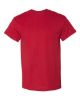 Picture of 8000 - Unisex DryBlend® T-Shirt