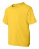 Picture of 8000B - Youth DryBlend® T-Shirt