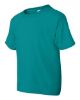 Picture of 8000B - Youth DryBlend® T-Shirt