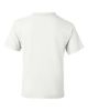 Picture of 8000B - Youth DryBlend® T-Shirt