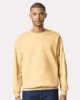 Picture of SF000 - Unisex Softstyle® Midweight Crewneck Sweatshirt