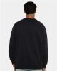 Picture of 9000 - Unisex Laguna Raglan Crewneck Sweatshirt
