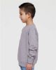 Picture of 3317 - Toddler Fleece Crewneck Sweatshirt