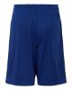 Picture of TT115BY - Youth Zone Performance Reversible Shorts
