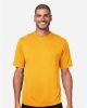 Picture of TT15 - Men's Zone Performance Mesh T-Shirt