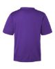 Picture of TT15 - Men's Zone Performance Mesh T-Shirt