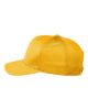 Picture of TT801 - Zone Performance Cap by Yupoong®