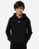 Picture of 6014162 - Youth Team Icon Fleece Hooded Sweatshirt