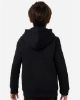 Picture of 6014162 - Youth Team Icon Fleece Hooded Sweatshirt
