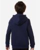 Picture of 6014162 - Youth Team Icon Fleece Hooded Sweatshirt