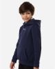 Picture of 6014162 - Youth Team Icon Fleece Hooded Sweatshirt