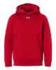 Picture of 6014162 - Youth Team Icon Fleece Hooded Sweatshirt
