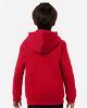 Picture of 6014162 - Youth Team Icon Fleece Hooded Sweatshirt