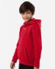 Picture of 6014162 - Youth Team Icon Fleece Hooded Sweatshirt