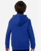 Picture of 6014162 - Youth Team Icon Fleece Hooded Sweatshirt
