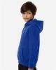Picture of 6014162 - Youth Team Icon Fleece Hooded Sweatshirt