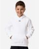 Picture of 6014162 - Youth Team Icon Fleece Hooded Sweatshirt