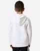Picture of 6014162 - Youth Team Icon Fleece Hooded Sweatshirt