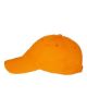 Picture of VC300A - Bio-Washed Classic Dad Hat