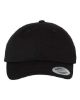 Picture of 6245EC - EcoWash™ Dad Hat
