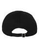 Picture of 6245EC - EcoWash™ Dad Hat