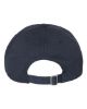 Picture of 6245EC - EcoWash™ Dad Hat