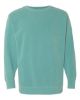 Picture of 1566 - Unisex Garment-Dyed Crewneck Sweatshirt