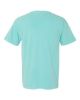 Picture of 1717 - Unisex Garment-Dyed Heavyweight T-Shirt