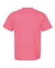Picture of 1717 - Unisex Garment-Dyed Heavyweight T-Shirt