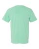 Picture of 1717 - Unisex Garment-Dyed Heavyweight T-Shirt