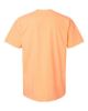 Picture of 1717 - Unisex Garment-Dyed Heavyweight T-Shirt