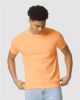Picture of 1717 - Unisex Garment-Dyed Heavyweight T-Shirt