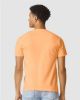 Picture of 1717 - Unisex Garment-Dyed Heavyweight T-Shirt
