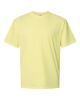 Picture of 1717 - Unisex Garment-Dyed Heavyweight T-Shirt
