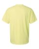 Picture of 1717 - Unisex Garment-Dyed Heavyweight T-Shirt