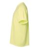 Picture of 1717 - Unisex Garment-Dyed Heavyweight T-Shirt