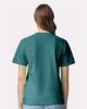 Picture of 1717 - Unisex Garment-Dyed Heavyweight T-Shirt