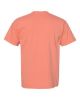 Picture of 1717 - Unisex Garment-Dyed Heavyweight T-Shirt