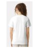 Picture of 1717 - Unisex Garment-Dyed Heavyweight T-Shirt