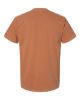 Picture of 1717 - Unisex Garment-Dyed Heavyweight T-Shirt