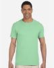 Picture of 64000 - Unisex Softstyle® T-Shirt